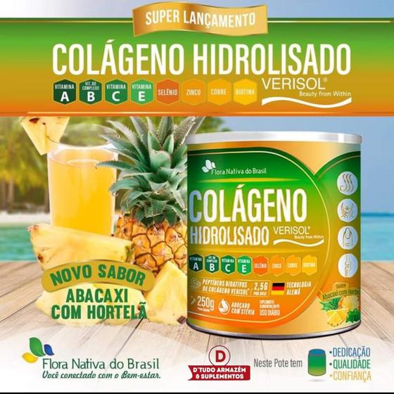 Colágeno Hidrolisado Verisol 250g Abacaxi c Hortelã Flora Nativa