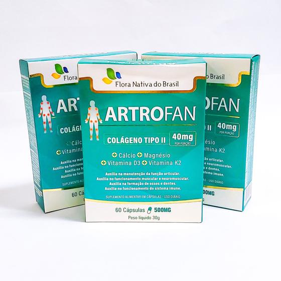 Kit Artrofan Col Geno Tipo Caps Mg Flora Nativa Col Geno