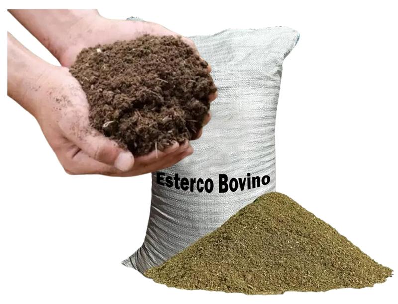 Adubo orgânico para plantas: benefícios, tipos e como usar corretamente 10 Image
