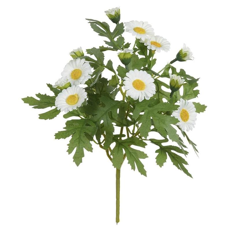 Buquê de Margaridas
