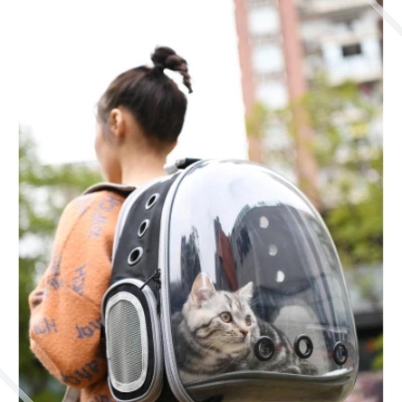 Mochila Bolsa Transporte Pet Gaiola Para Gato Cachorro ...