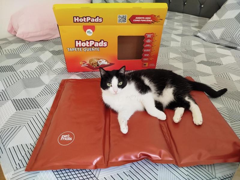 Cama Autoaquecedora Para Gatos Drydiet 40x50cm - Pacote Com 4 Unidades