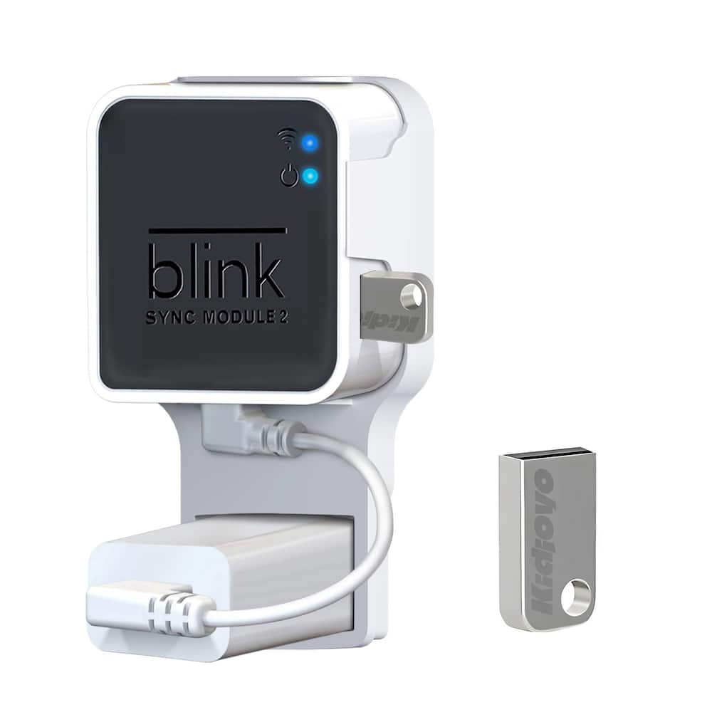 Unidade Flash USB 256GB + Suporte de Parede para Blink Sync 2 - Organize e Economize Espaço