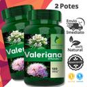 2 Potes Valeriana 100% Natural Kit 240 Cáps - Fonte Verde - foto 4