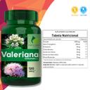 2 Potes Valeriana 100% Natural Kit 240 Cáps - Fonte Verde - foto 3
