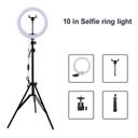 Kit Completo Iluminador Ring Light 26cm com Tripé 2,1mt Dimmer Youtuber Selfie Profissional - foto 3