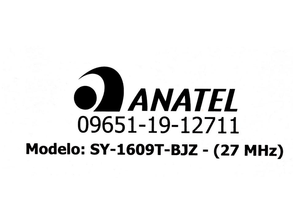 Carrinho de Controle Remoto Garagem S.A - 12