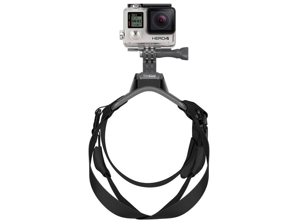 Cinturão Canino - 5