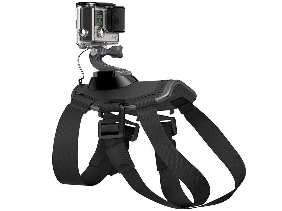 Cinturão Canino - 11