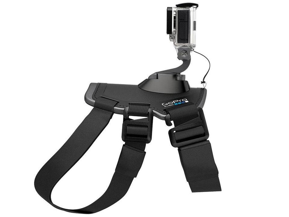 Cinturão Canino - 9