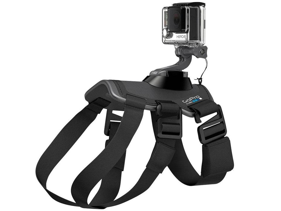 Cinturão Canino - 7