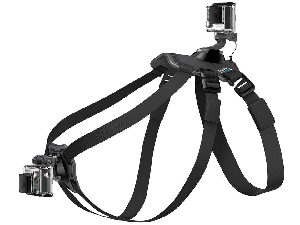 Cinturão Canino - 6