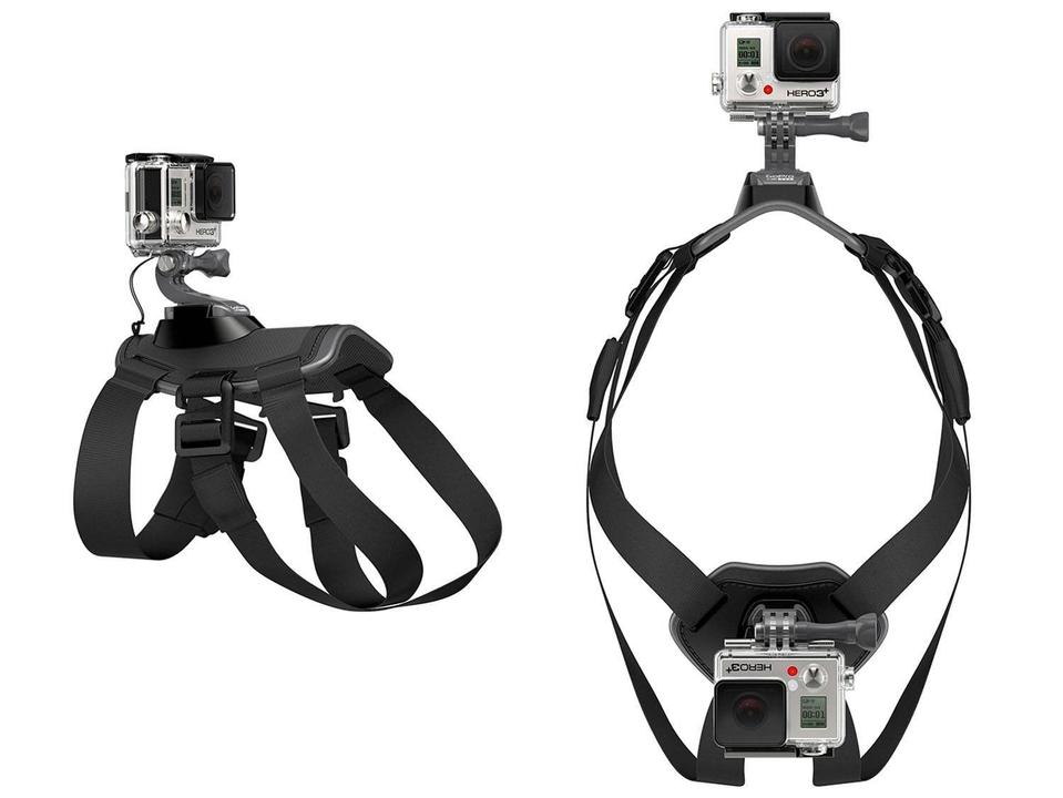 Cinturão Canino - 3