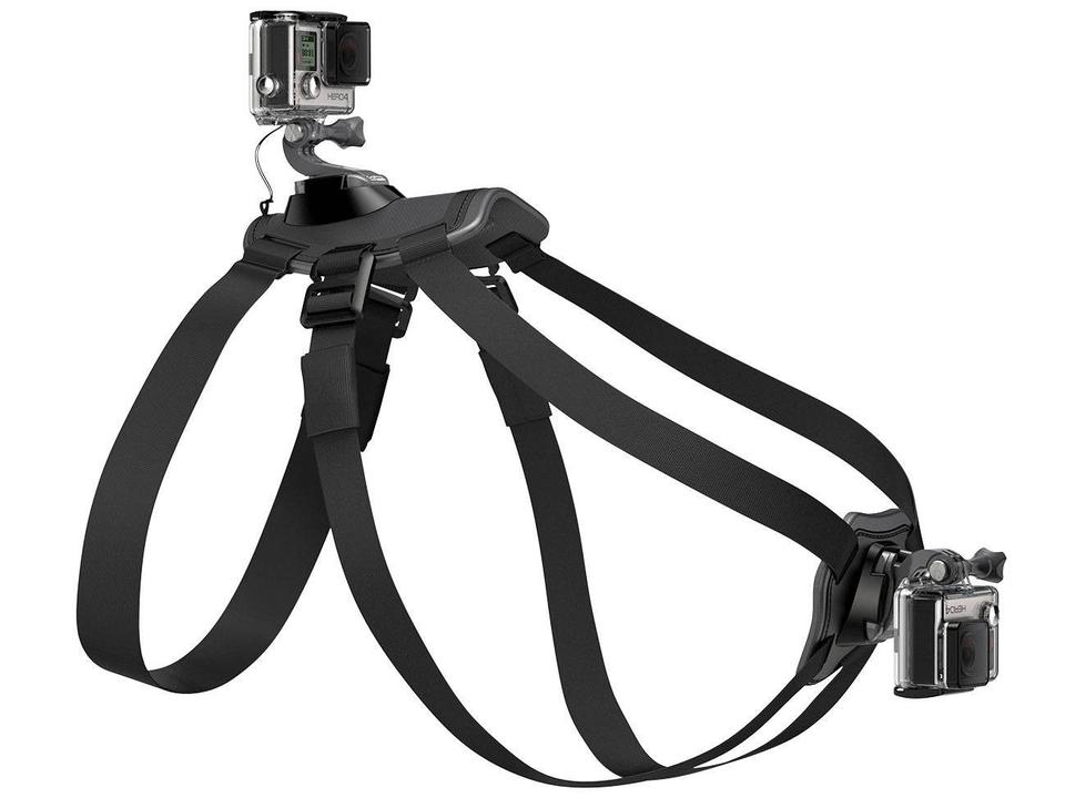 Cinturão Canino - 10