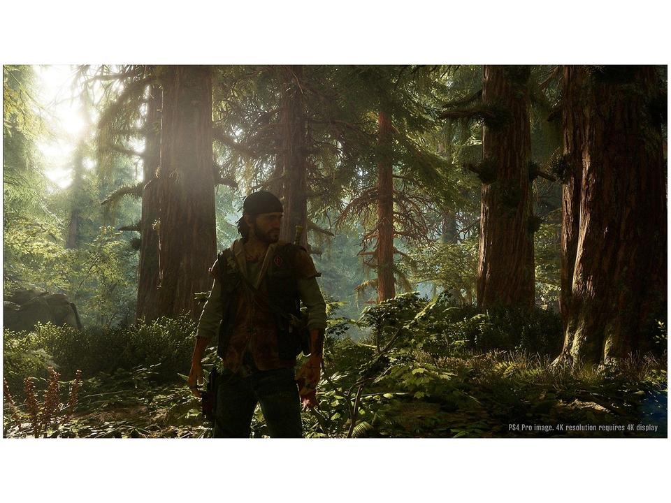Days Gone para PS4 - 18