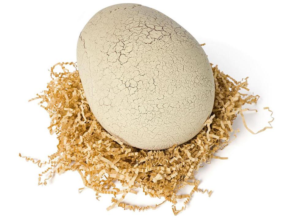 Dinossauro T-Rex Primal Emite Som e Luz - 1