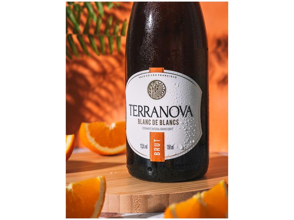 Espumante Branco Brut Terranova 	Blanc de Blancs 750ml - 1