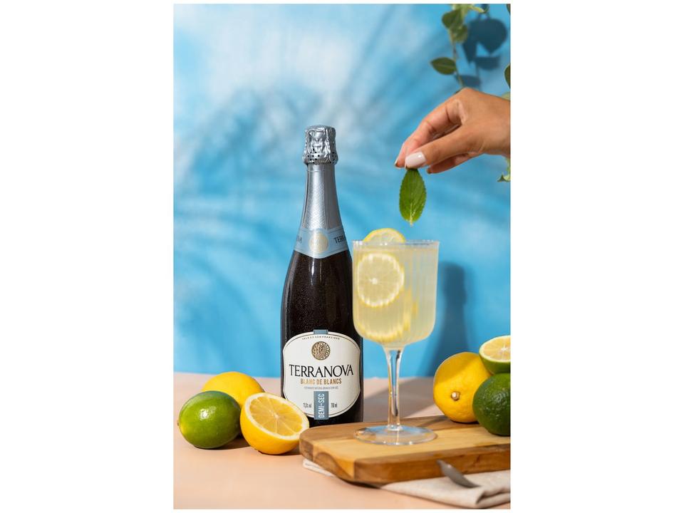 Espumante Branco Demi-sec Terranova Blanc de Blancs 750ml - 1