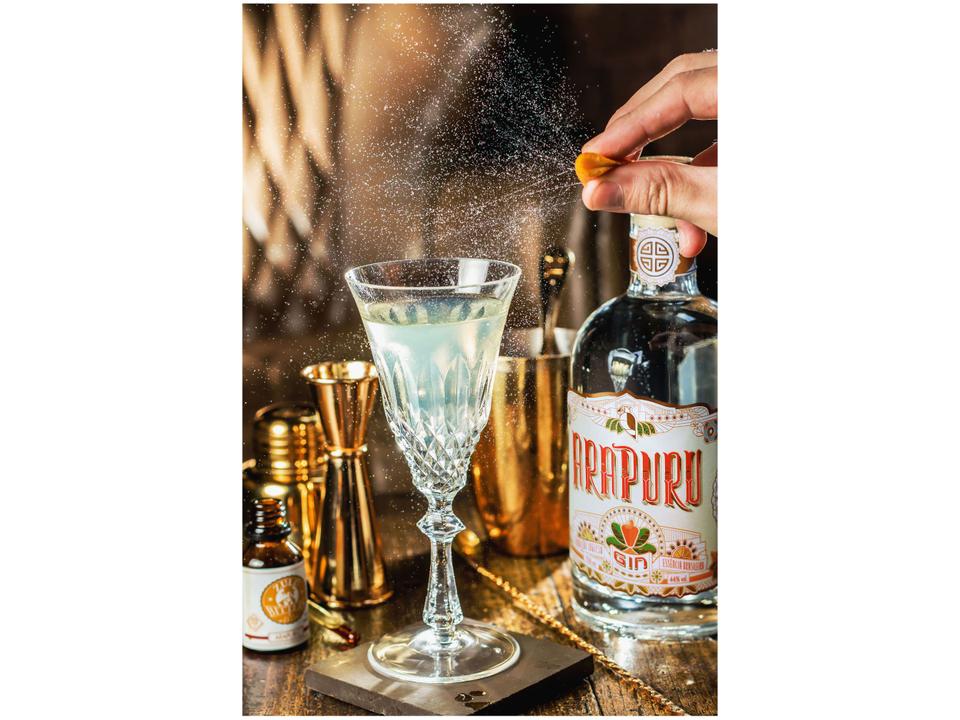 Gin Arapuru London Dry - 750ml - 6