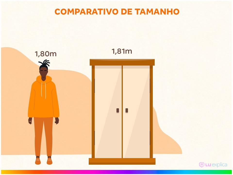 Guarda-roupa Solteiro 6 Portas 2 Gavetas - 3