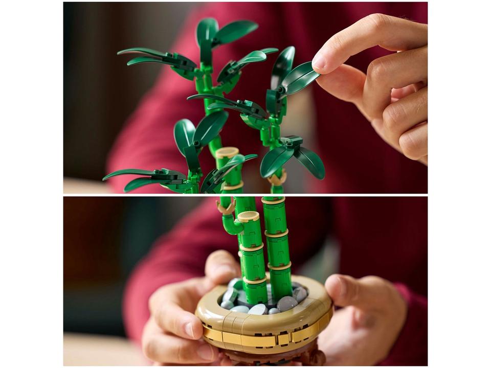 LEGO Bambu da Sorte 10344 - 2