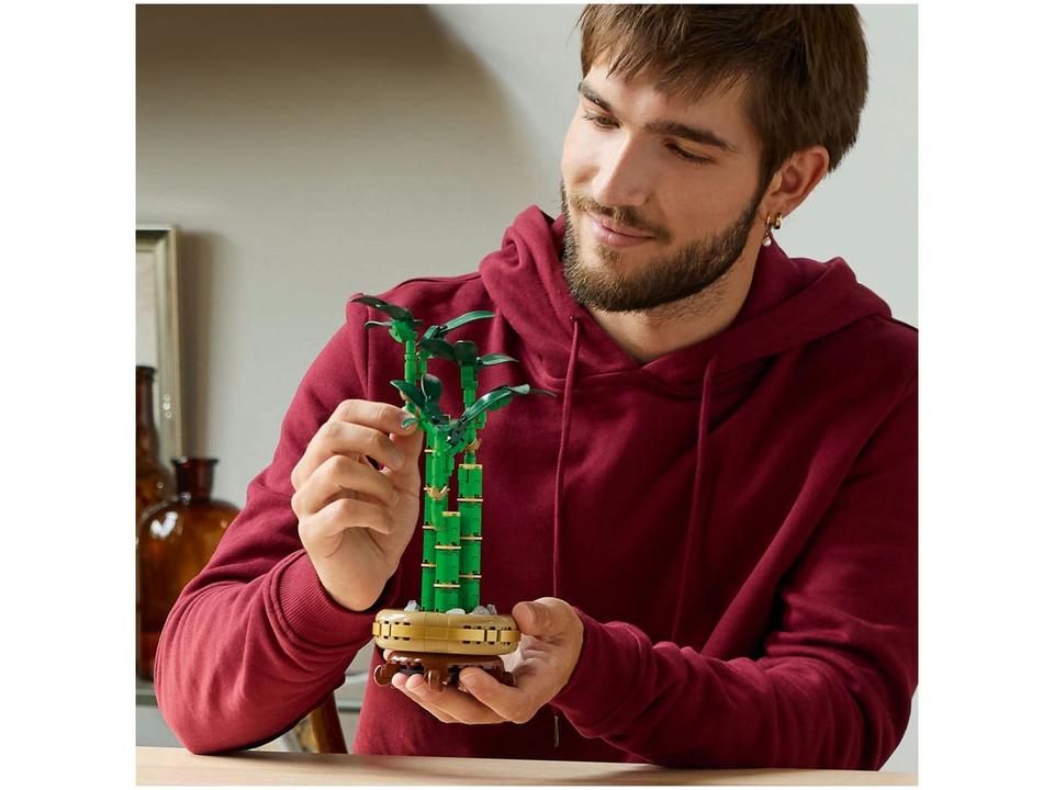 LEGO Bambu da Sorte 10344 - 1