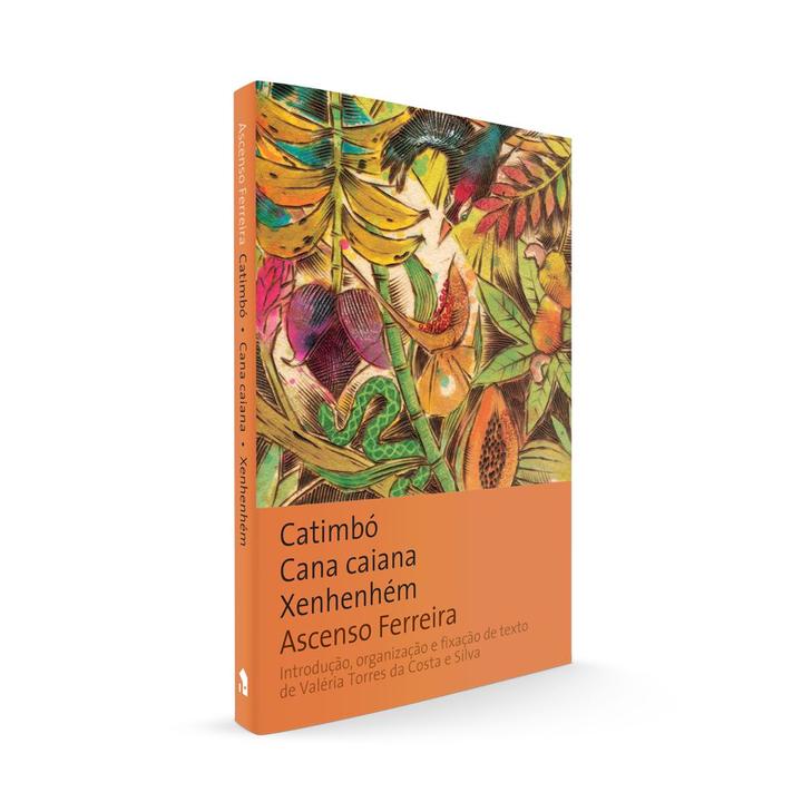 Livro - Catimbó, cana caiana, xenhenhém - 1