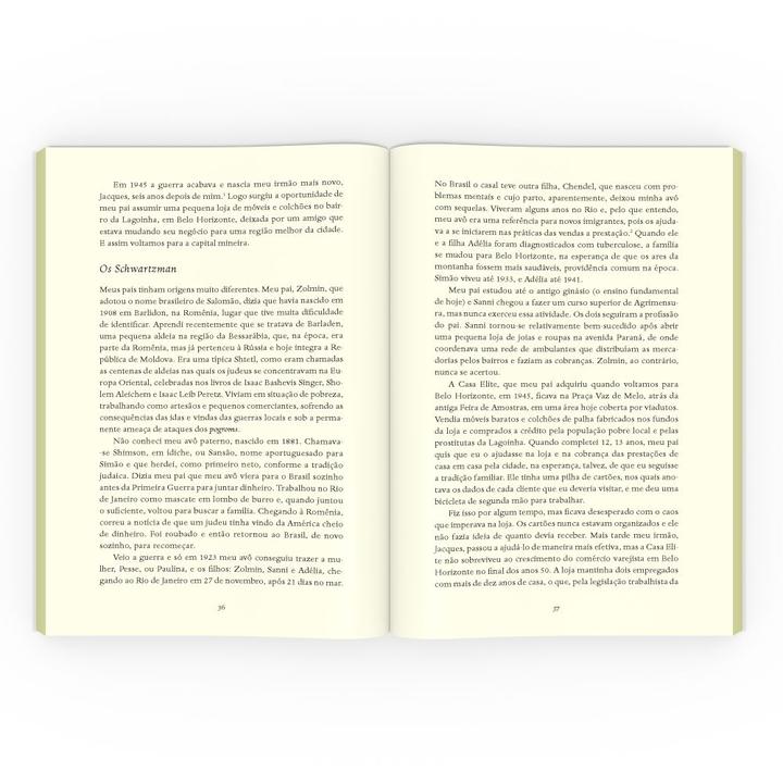 Livro - Falso mineiro - 3