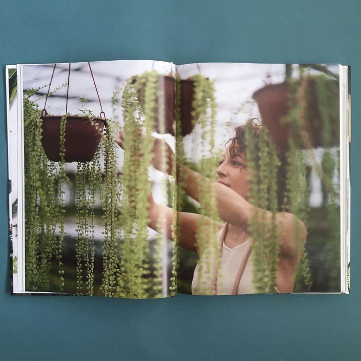 Livro - Minhas plantas - paisagismo para todos - 2