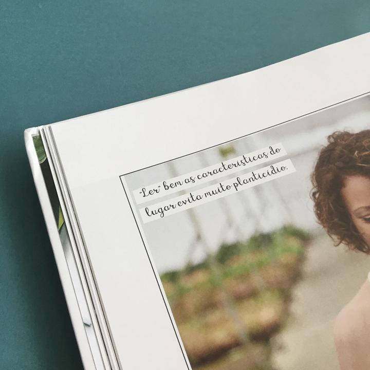 Livro - Minhas plantas - paisagismo para todos - 7