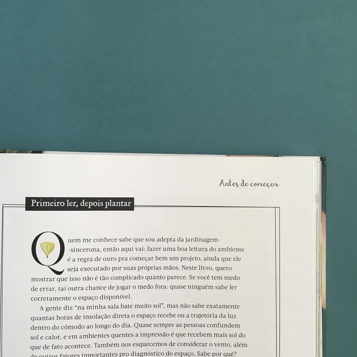 Livro - Minhas plantas - paisagismo para todos - 8