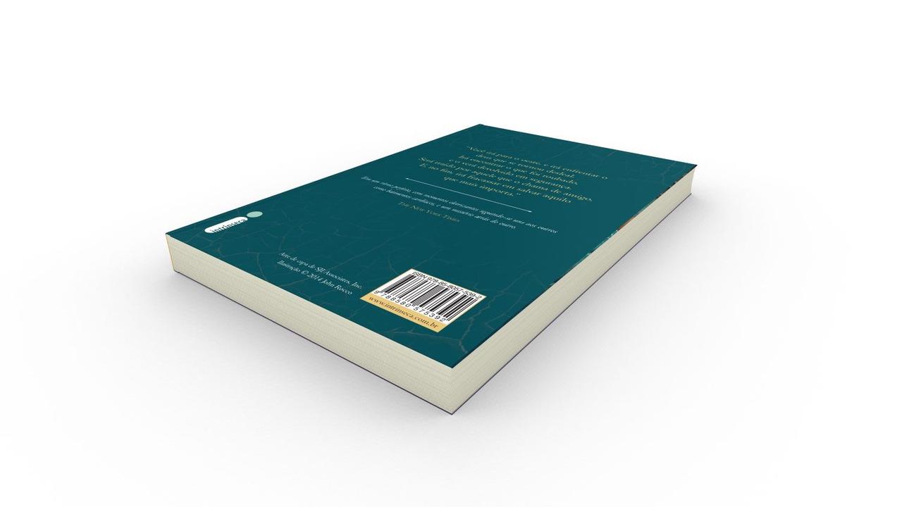 Livro - O ladrão de raios - 4