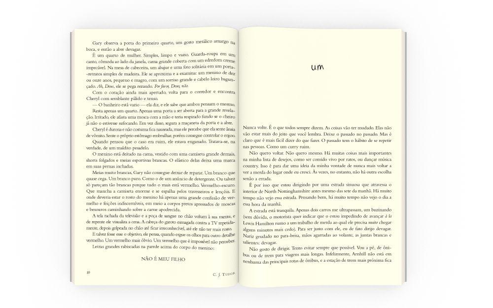 Livro - O que aconteceu com Annie - 5