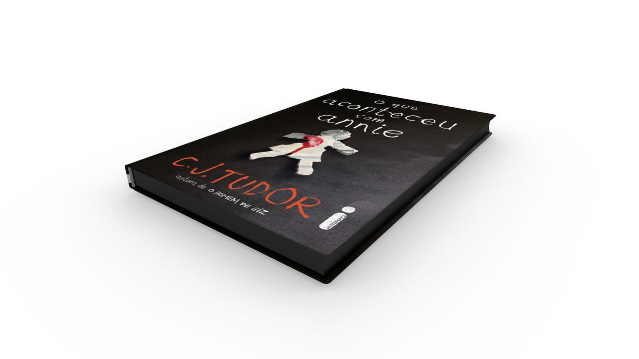 Livro - O que aconteceu com Annie - 2