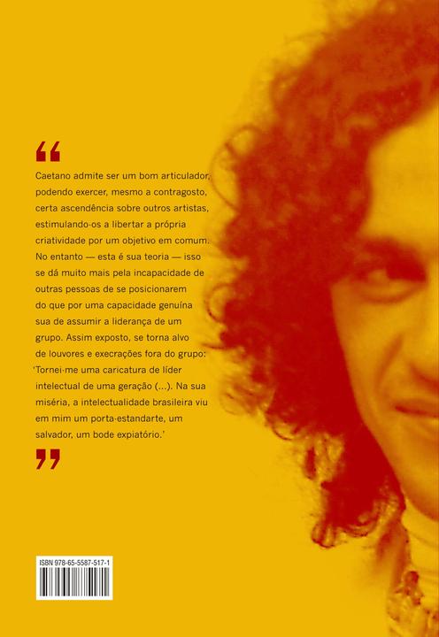 Livro - Outras palavras: Seis vezes Caetano - 1