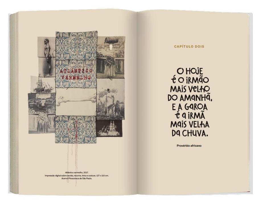 Livro Um Defeito de Cor Edição Especial - 8