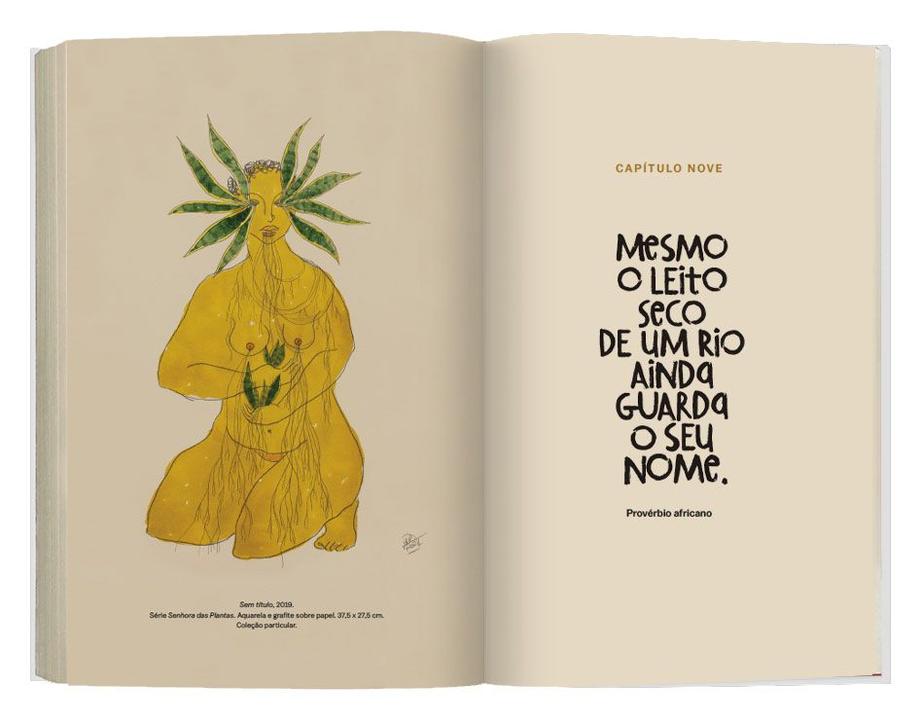 Livro Um Defeito de Cor Edição Especial - 9