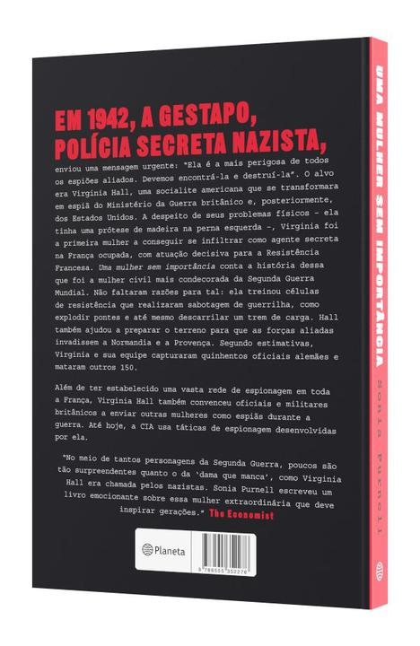 Livro - Uma mulher sem importância - 2