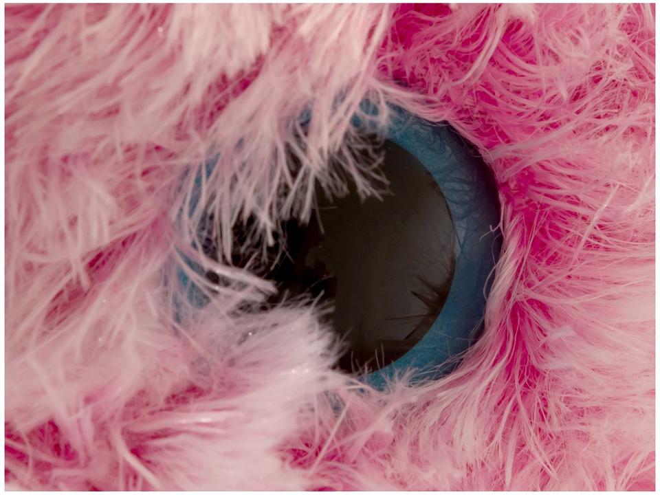 Pelúcia Little Live Pets Scruff a Luvs Família - 7