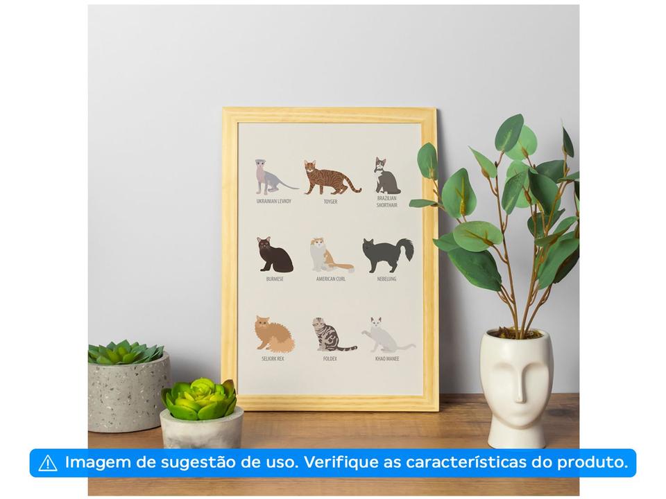 Quadro Decorativo Pet Lovers Nomes Gatos - 24,5x34,5cm Design Up Living - 1