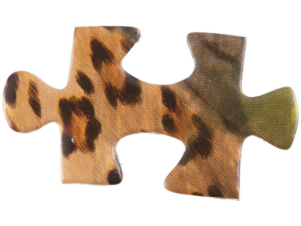 Quebra-cabeça 1000 Peças Puzzle The Big Five - 3