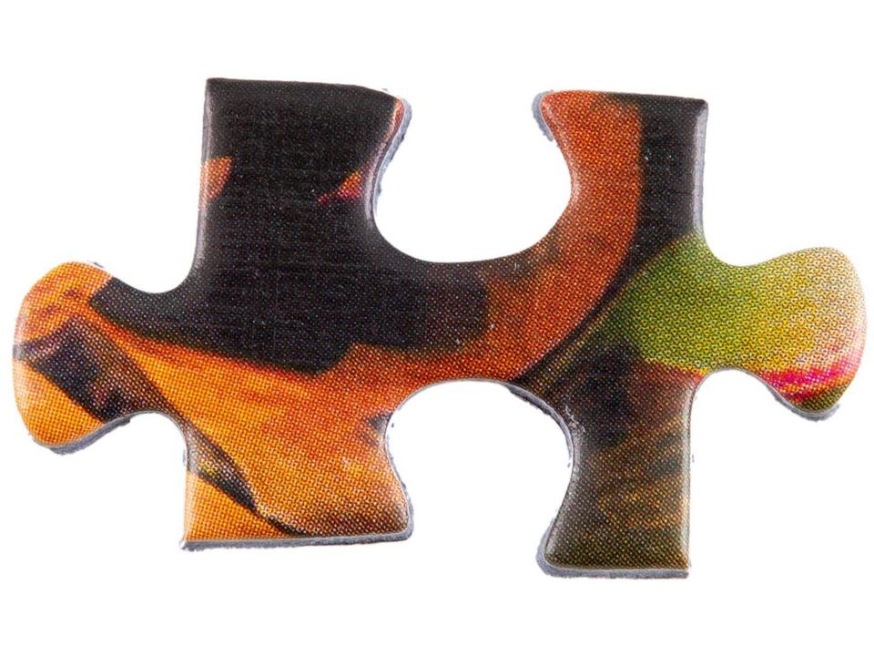 Quebra-cabeça 500 Peças Biosfera Game Office - 4