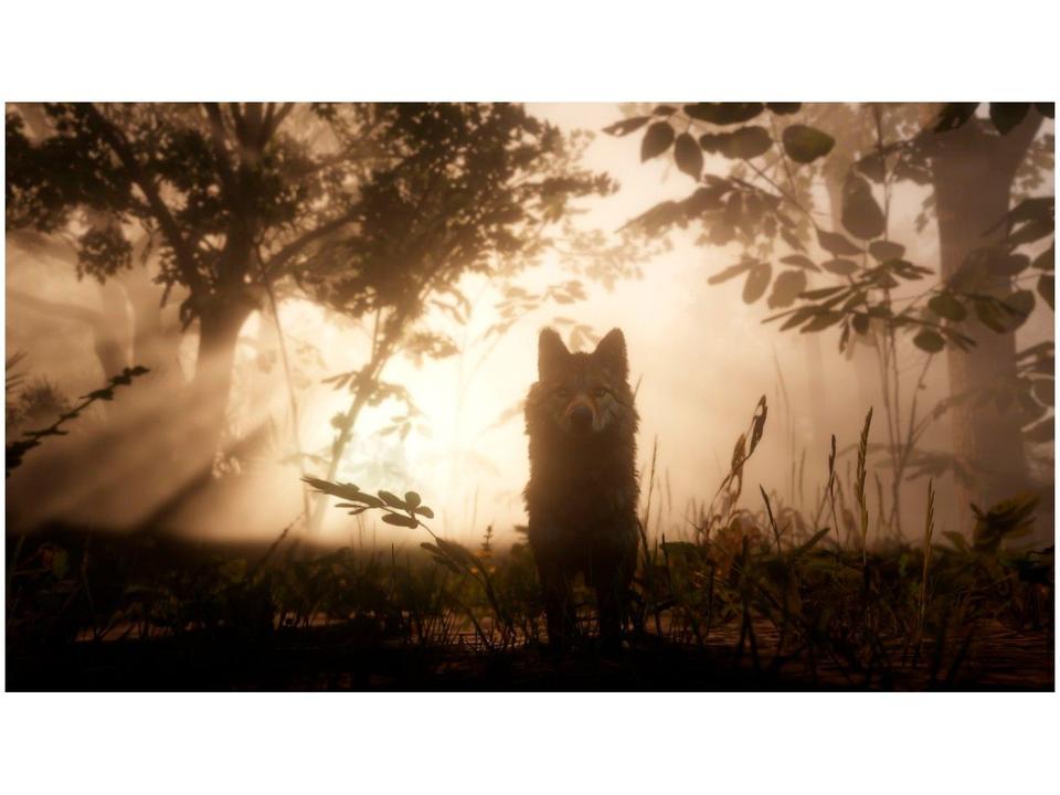 Red Dead Redemption II para Xbox One - 4