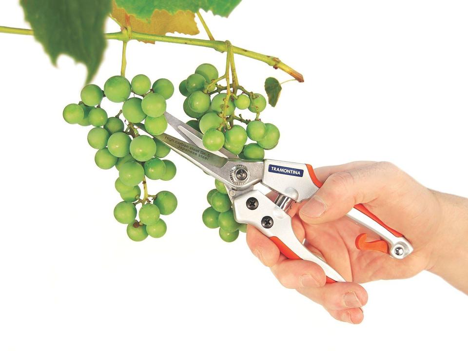 Tesoura de Fruta Profissional Tramontina em Aço com Cabo Emborrachado - 2