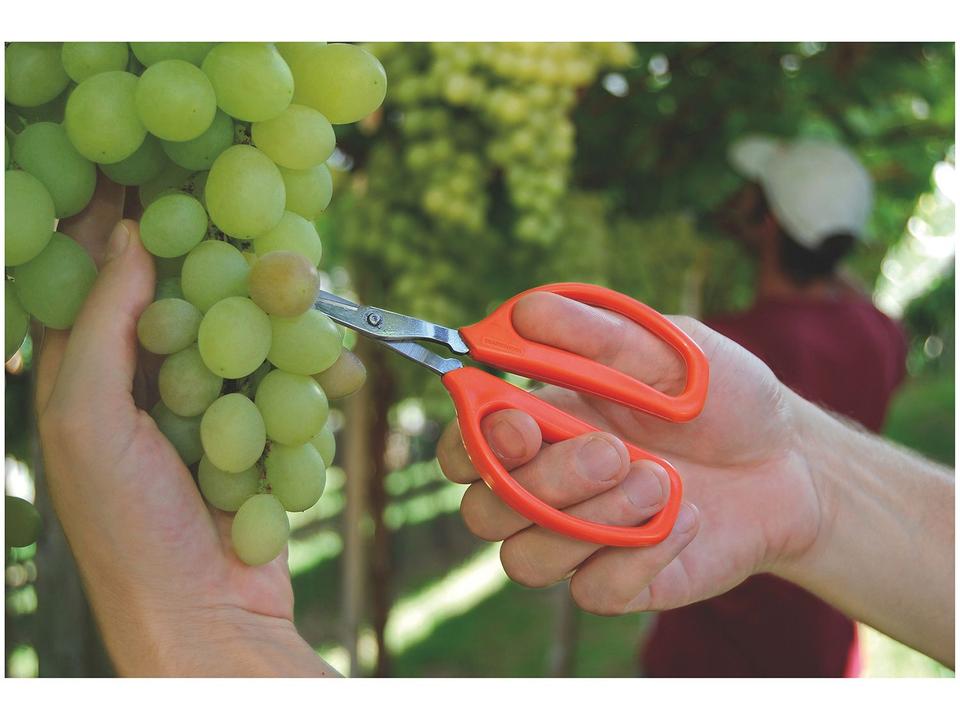 Tesoura para Frutas Tramontina - 1