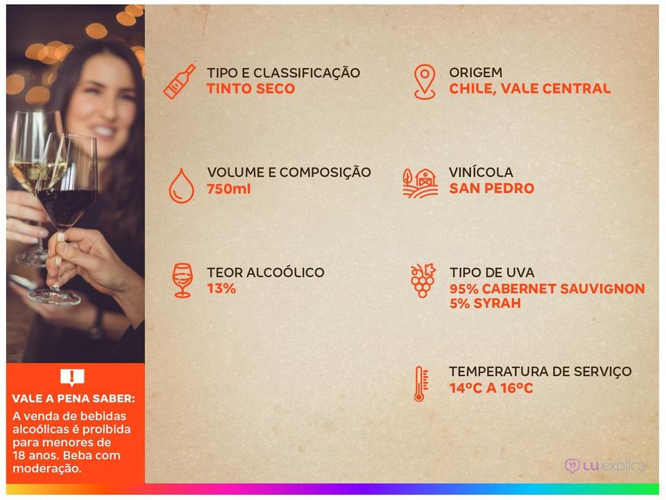 Vinho Tinto Seco Gato Negro Cabernet Sauvignon Chile - 2