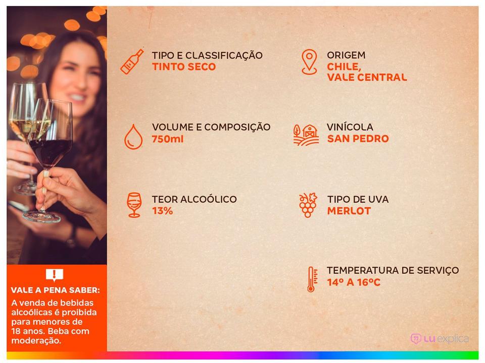 Vinho Tinto Seco Gato Negro Merlot Chile - 2