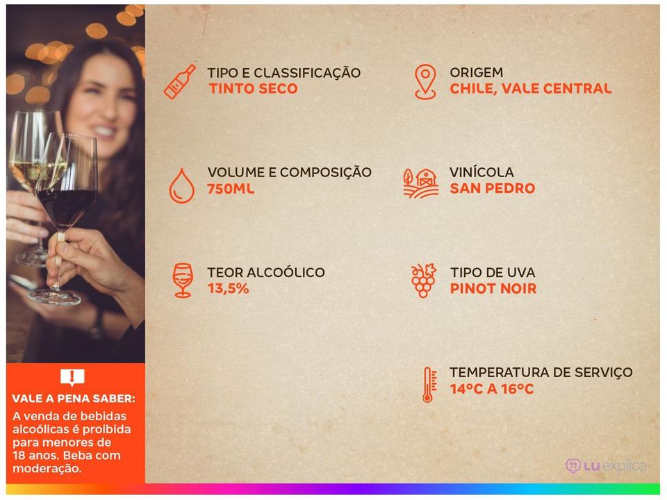 Vinho Tinto Seco Gato Negro Pinot Noir - 2