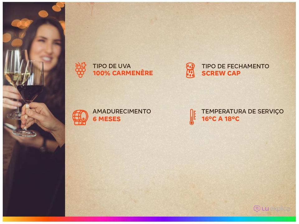 Vinho Tinto Seco Hemisferio Reserva Carmenère - 3