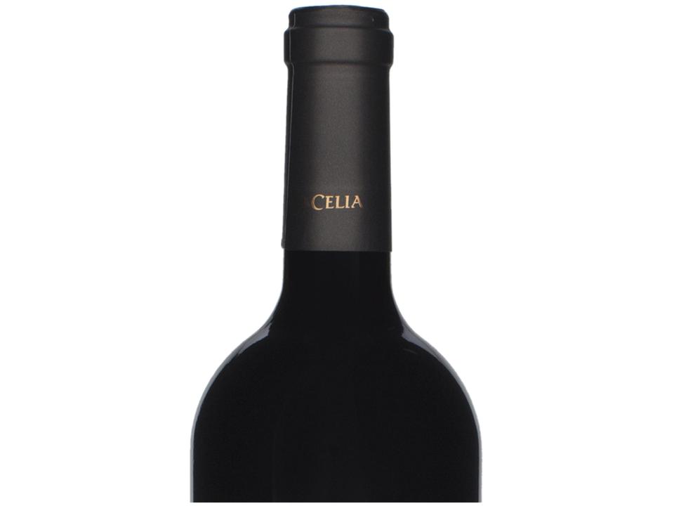 Vinho Tinto Seco La Celia Cabernet Franc Pioneer - 750ml - 6